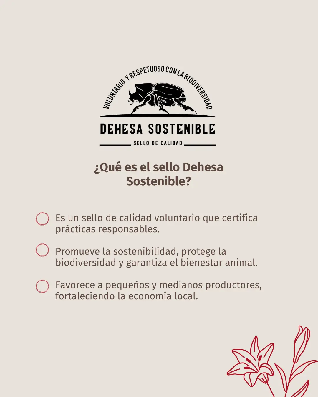 El Sello Dehesa Sostenible: garantía de origen, respeto y futuro dehesa sostenible optimized