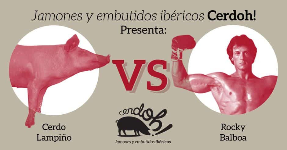 La Montanera VS el entrenamiento de Rocky cerdoh blog cerdo lampiño vs rocky