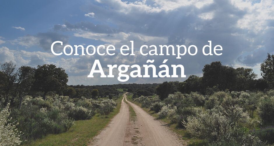 Soy Oinc Tercero. Y soy del Campo de Argañán imagen blog argañan2