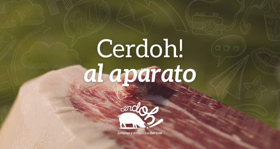 Consultorio ibérico: Los orígenes de Cerdoh! (Parte 1) cerdoh imagen blog consultorio2