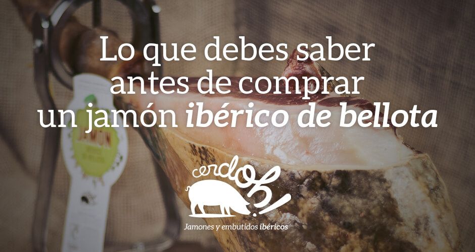 5 cosas que debes saber antes de comprar un jamón ibérico de bellota consejos para comprar un jamón ibérico de bellota
