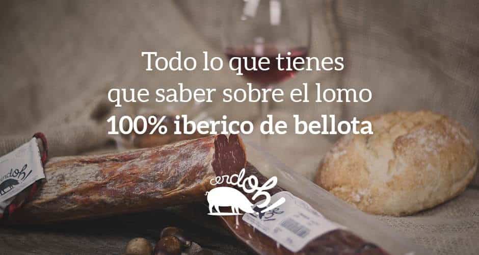 Todo lo que tienes que saber sobre el lomo de bellota 100% ibérico