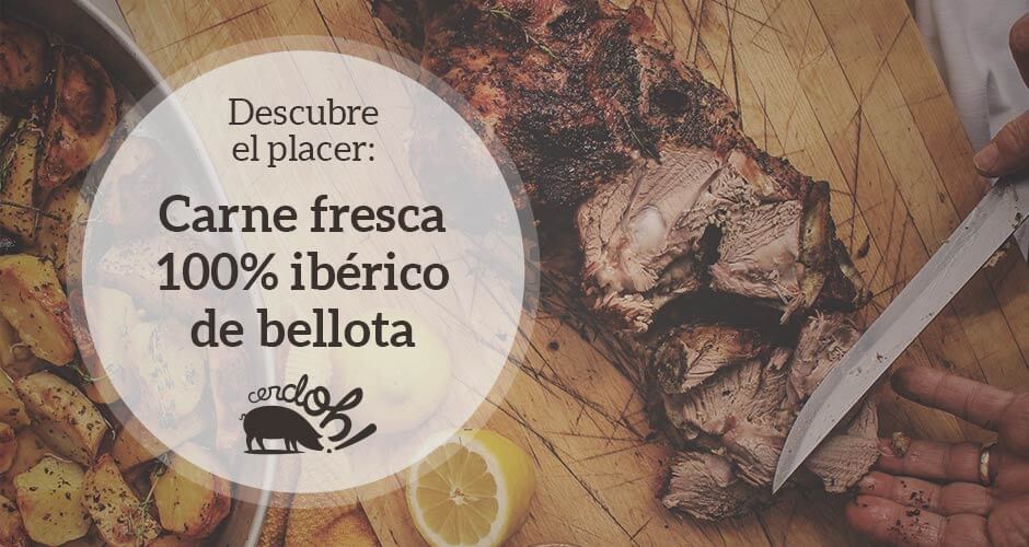 carnes 100% ibéricas de bellota