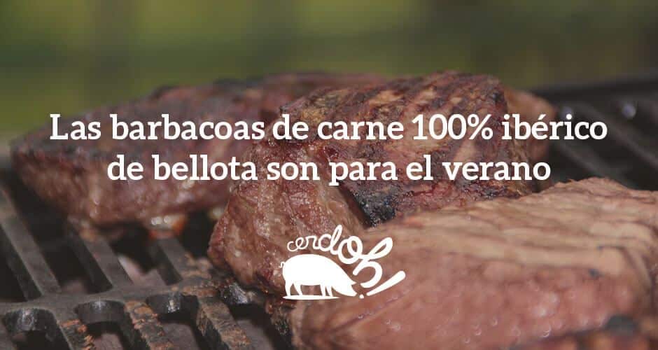 Las barbacoas de carne 100% ibérica de bellota son para el verano cerdoh blog post julio1