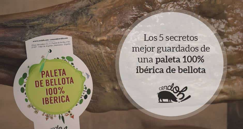 Los cinco secretos mejor guardados de una paleta 100% ibérica de bellota cerdoh blog mayo1