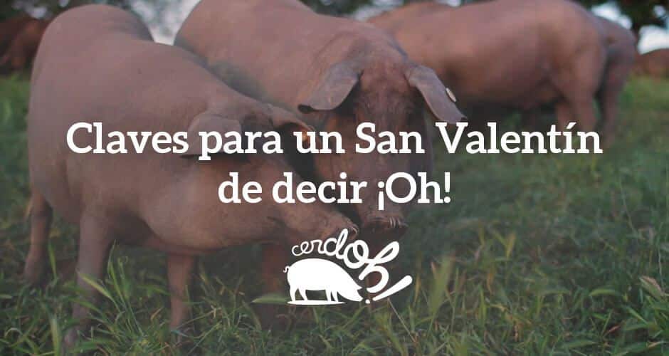 El jamón ibérico de bellota nos aporta felicidad y la mejor manera de demostrar tu amor en San Valentín