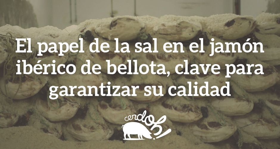 salazon-jamon-iberico
