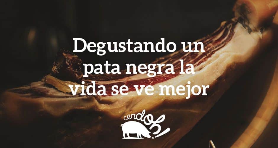 Las emociones del jamón ibérico de bellota.