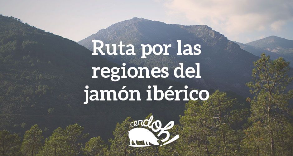 Ruta por las regiones del jamón ibérico: Salamanca, Extremadura y Andalucía.