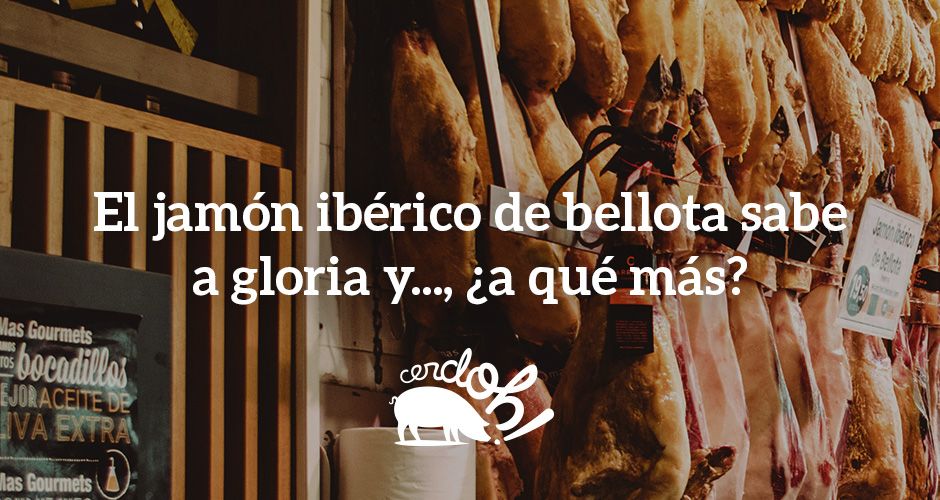sabor-jamon-iberico