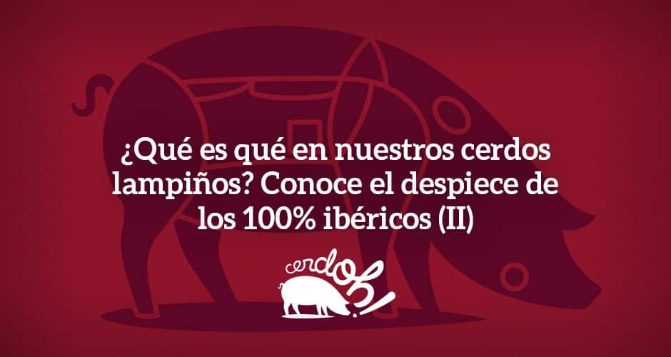 Despiece-carne-ibérica