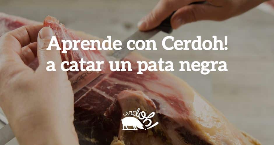 Consejos para catar un jamón ibérico de bellota