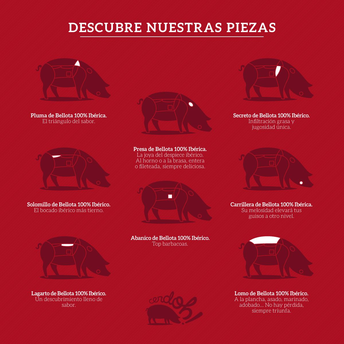 Barbacoa gourmet: los mejores cortes del cerdo ibérico para cocinar a la brasa cerdoh rrss infografia