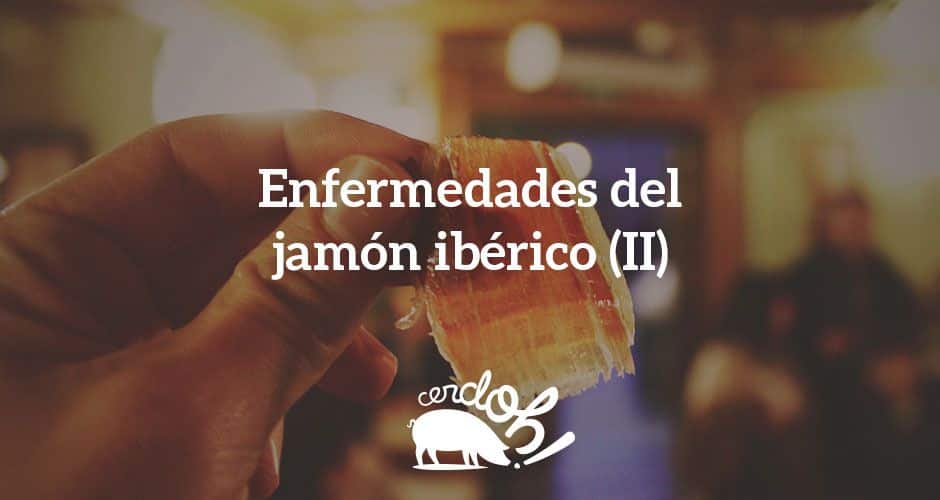 Las enfermedades del jamón ibérico más comunes (II) enfermedades jamón