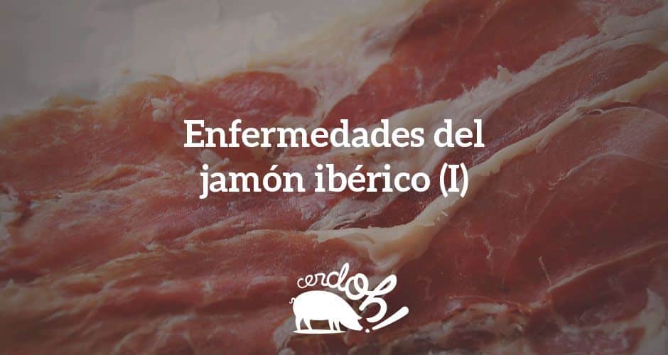 Las enfermedades del jamón ibérico más comunes (I) enfermedades jamón i