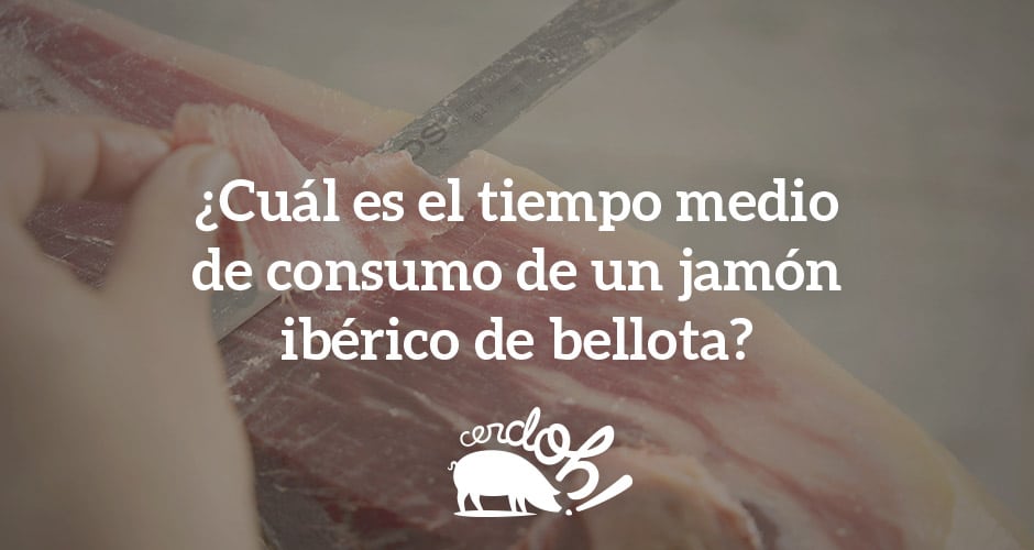 ¿Cuánto tiempo tardamos en comernos un jamón?