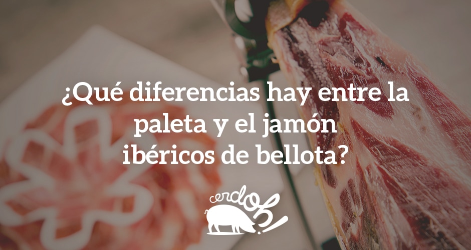 ¿Qué diferencias encontramos entre la paleta y el jamón ibérico?