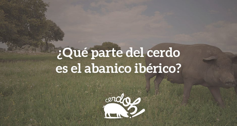 Presa, pluma, abanico ibérico...¿sabes distinguir todas las partes del ibérico?