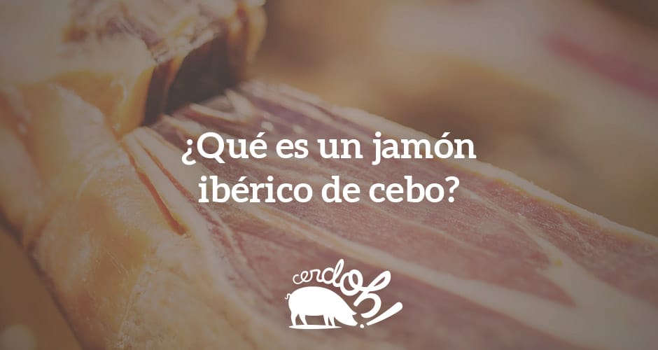 ibérico 100% de bellota, jamón ibérico de cebo de campo,...¿conoces las diferencias entre los distintos tipos de jamones ibéricos?