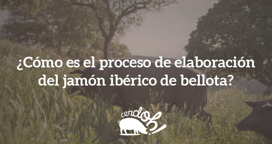 La elaboración del jamón ibérico de bellota es más compleja de lo que podrías pensar