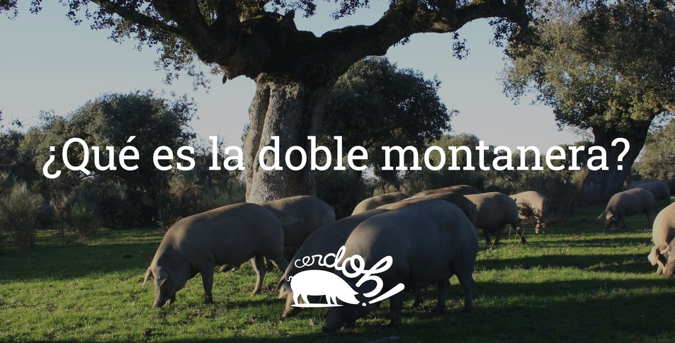 doble montanera