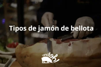 tipos de jamón de bellota