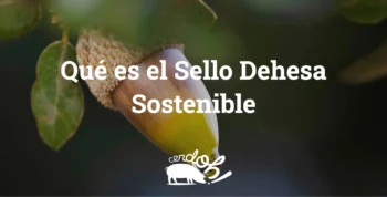 El Sello Dehesa Sostenible: garantía de origen, respeto y futuro portada sello blog optimized v2