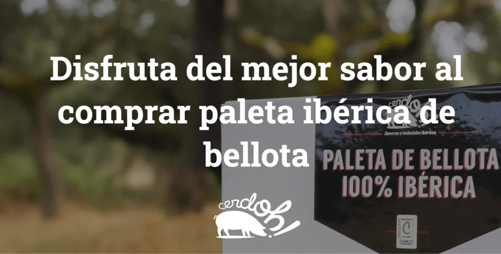 comprar paleta ibérica de bellota