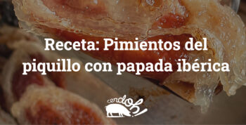 pimientos del piquillo con papada ibérica