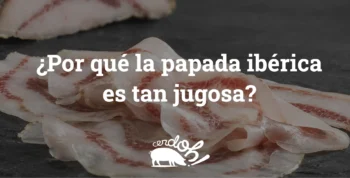 Por qué la papada ibérica es tan jugosa